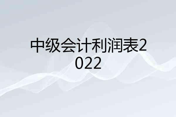 中级会计利润表2022