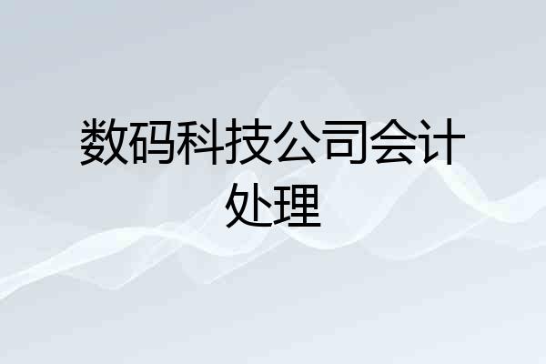 数码科技公司会计处理