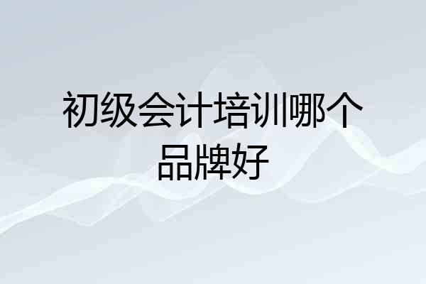 初级会计培训哪个品牌好