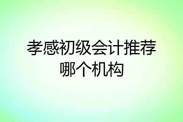 孝感初级会计推荐哪个机构