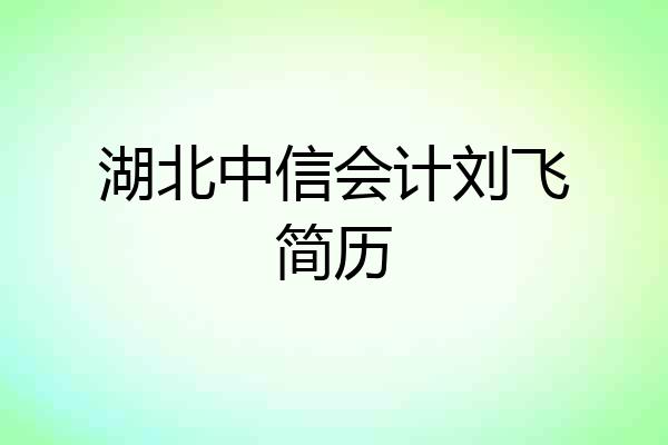 湖北中信会计刘飞简历