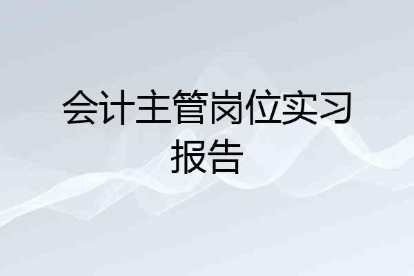 会计主管岗位实习报告