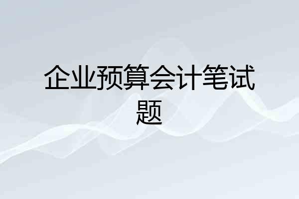 企业预算会计笔试题