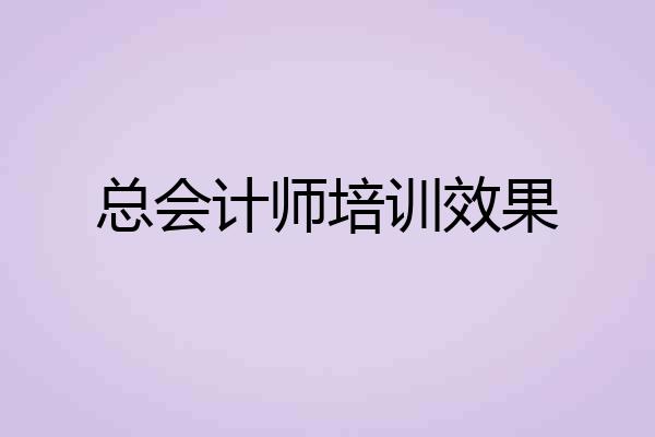 总会计师培训效果