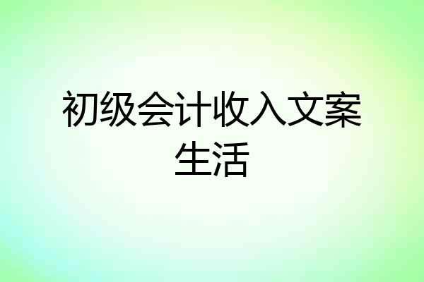 初级会计收入文案生活