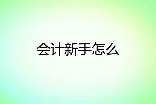 会计新手怎么