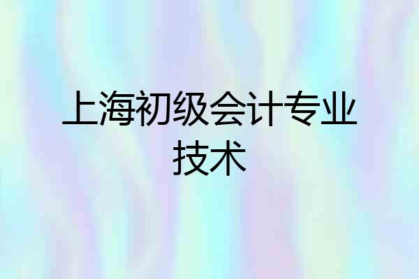 上海初级会计专业技术