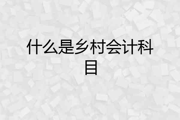 什么是乡村会计科目