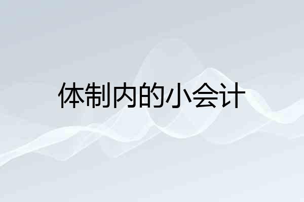 体制内的小会计