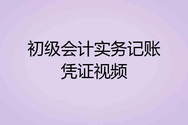 初级会计实务记账凭证视频