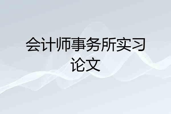 会计师事务所实习论文