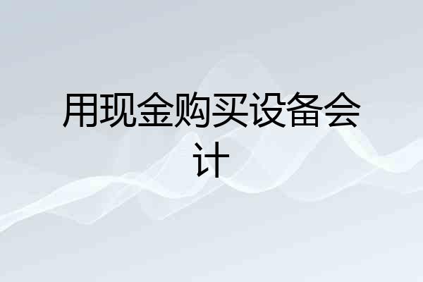 用现金购买设备会计