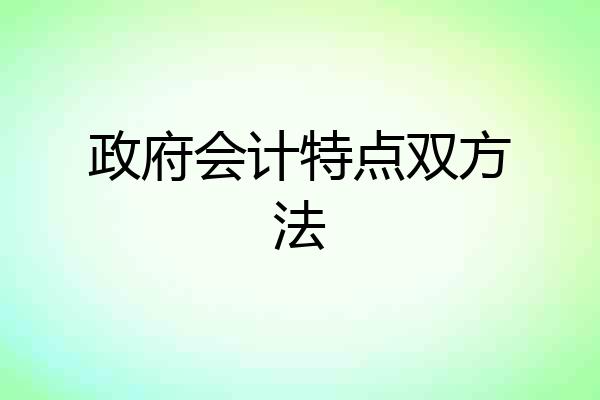 政府会计特点双方法