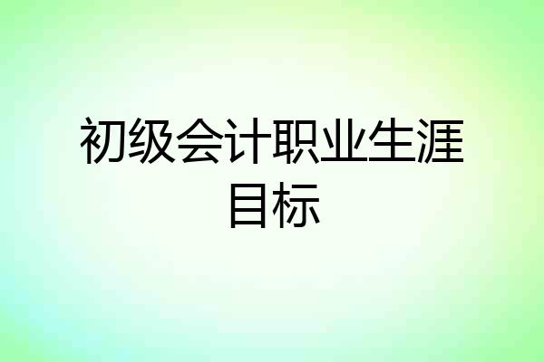初级会计职业生涯目标