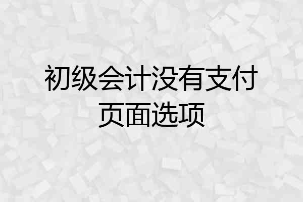 初级会计没有支付页面选项