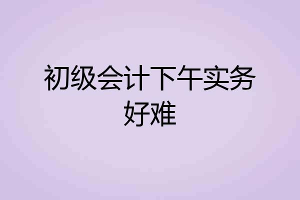 初级会计下午实务好难