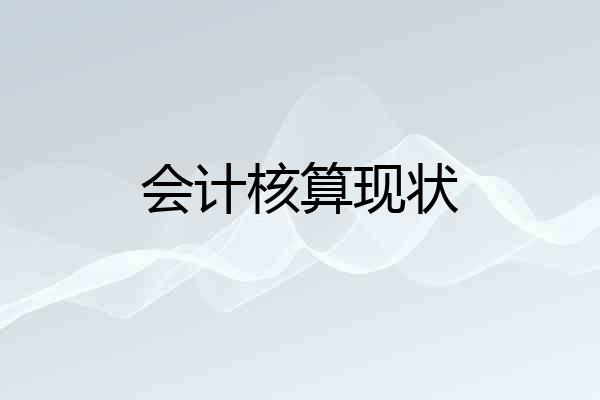 会计核算现状