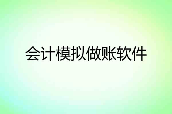 会计模拟做账软件
