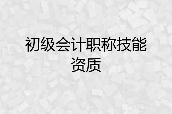 初级会计职称技能资质