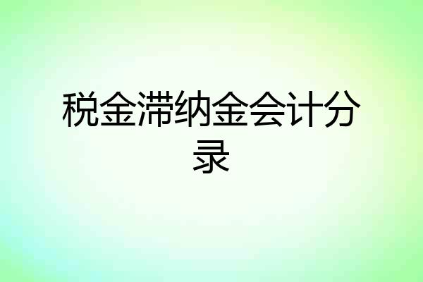 税金滞纳金会计分录
