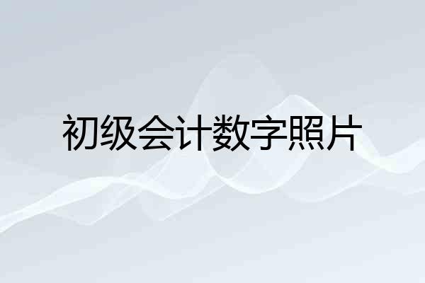初级会计数字照片