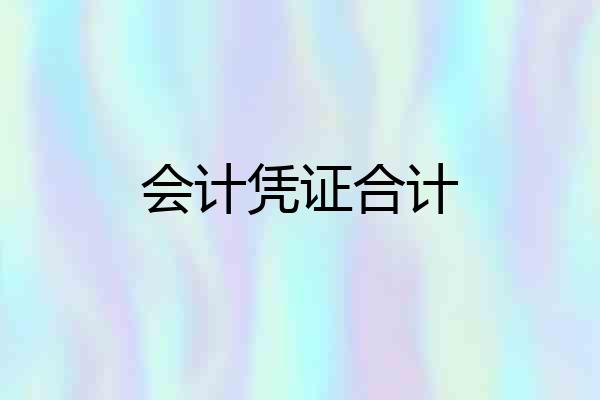 会计凭证合计