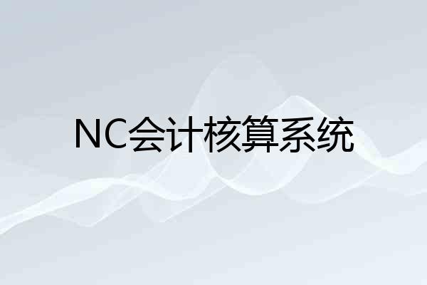 NC会计核算系统