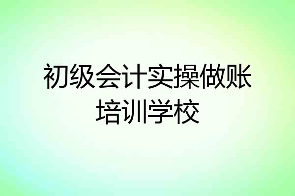 初级会计实操做账培训学校