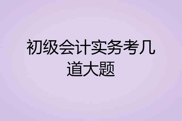初级会计实务考几道大题