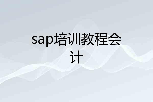 sap培训教程会计