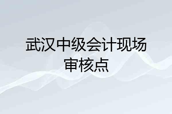 武汉中级会计现场审核点