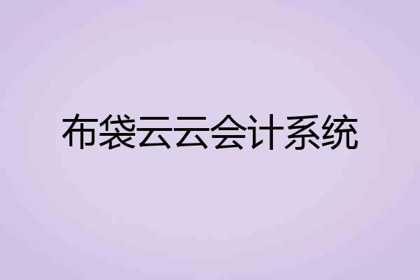 布袋云云会计系统