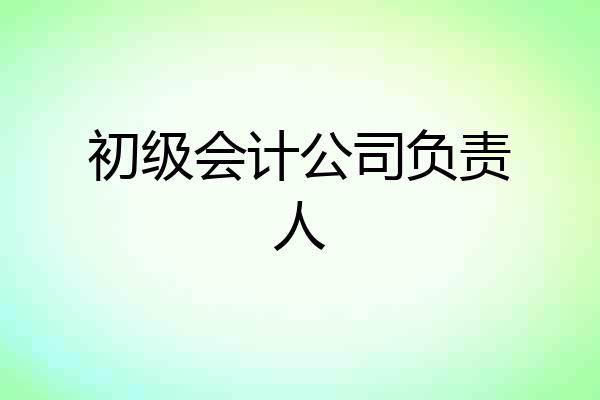初级会计公司负责人