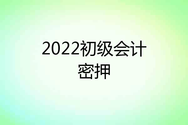 2022初级会计密押