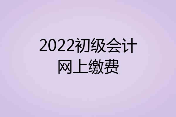 2022初级会计网上缴费