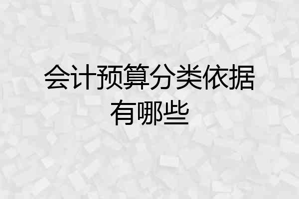 会计预算分类依据有哪些