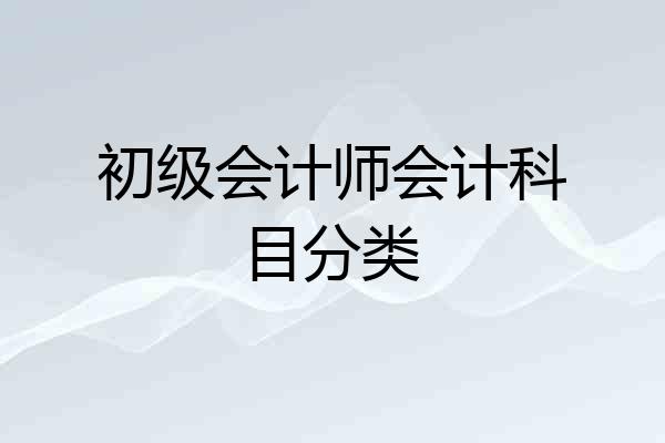 初级会计师会计科目分类
