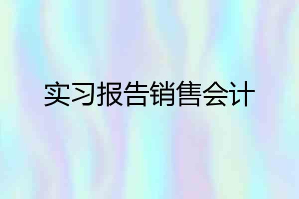 实习报告销售会计