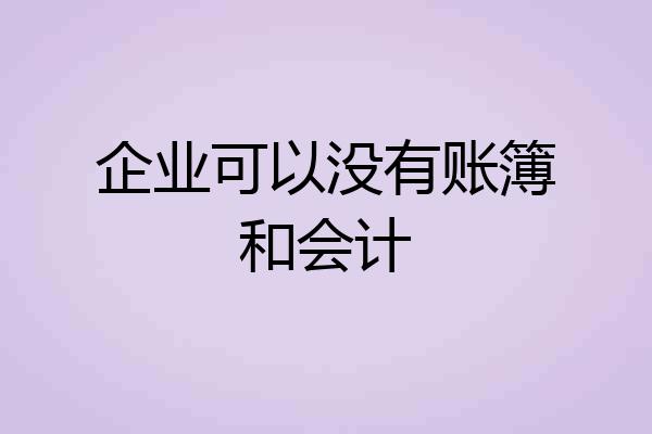 企业可以没有账簿和会计