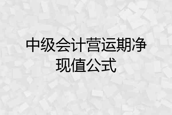 中级会计营运期净现值公式