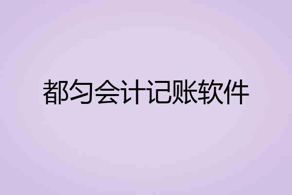 都匀会计记账软件
