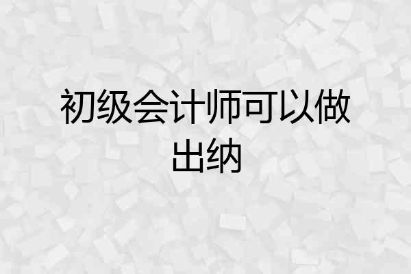 初级会计师可以做出纳