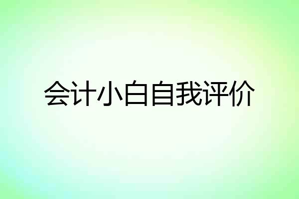 会计小白自我评价