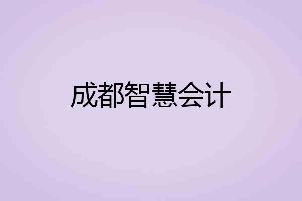 成都智慧会计