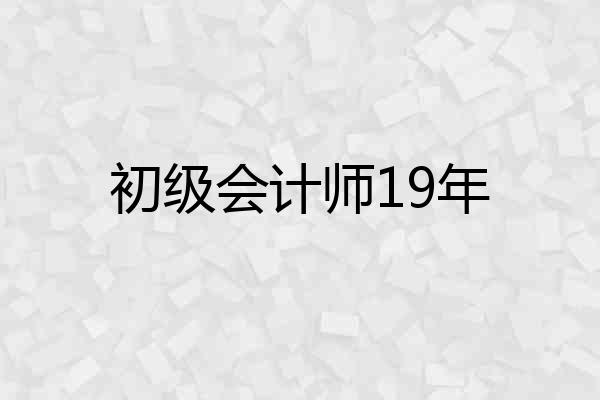 初级会计师19年