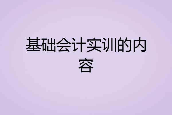 基础会计实训的内容
