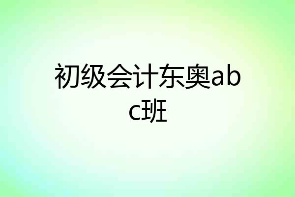 初级会计东奥abc班