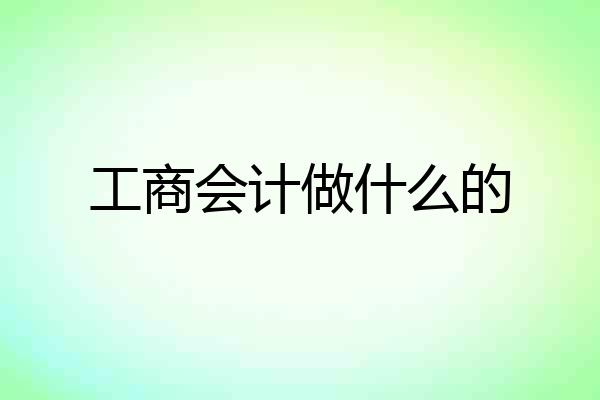 工商会计做什么的