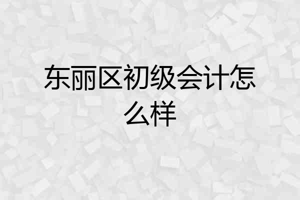 东丽区初级会计怎么样
