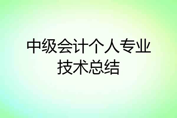 中级会计个人专业技术总结
